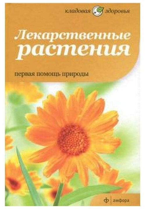 Лекарственные растения. Первая помощь природы