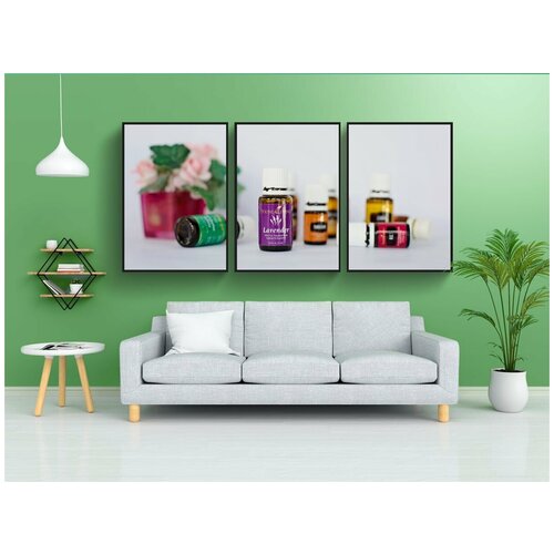 фото Набор модулных постеров для интерьера "эфирные масла, диффузор, ароматерапия" 60x90 см. в тубусе, без рамки lotsprints