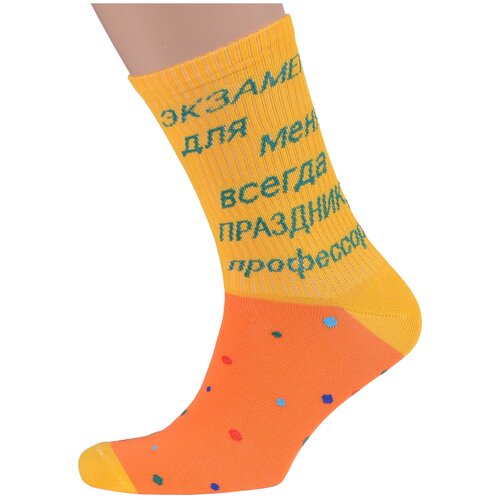 Носки MoscowSocksClub, размер 27 (41-43), мультиколор