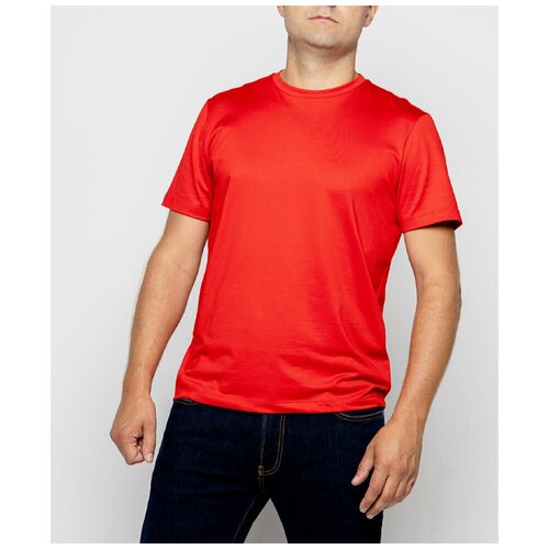фото Мужская футболка pierre cardin короткий рукав voyage (52660/000/01248/5080 размер xxl)