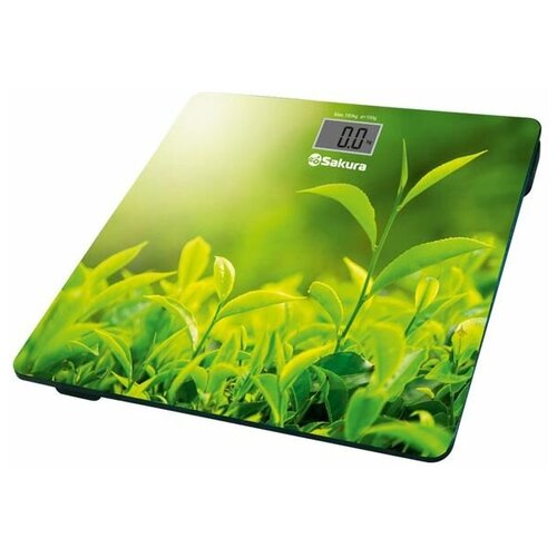 фото Весы напольные sakura 180 кг sa-5071gr