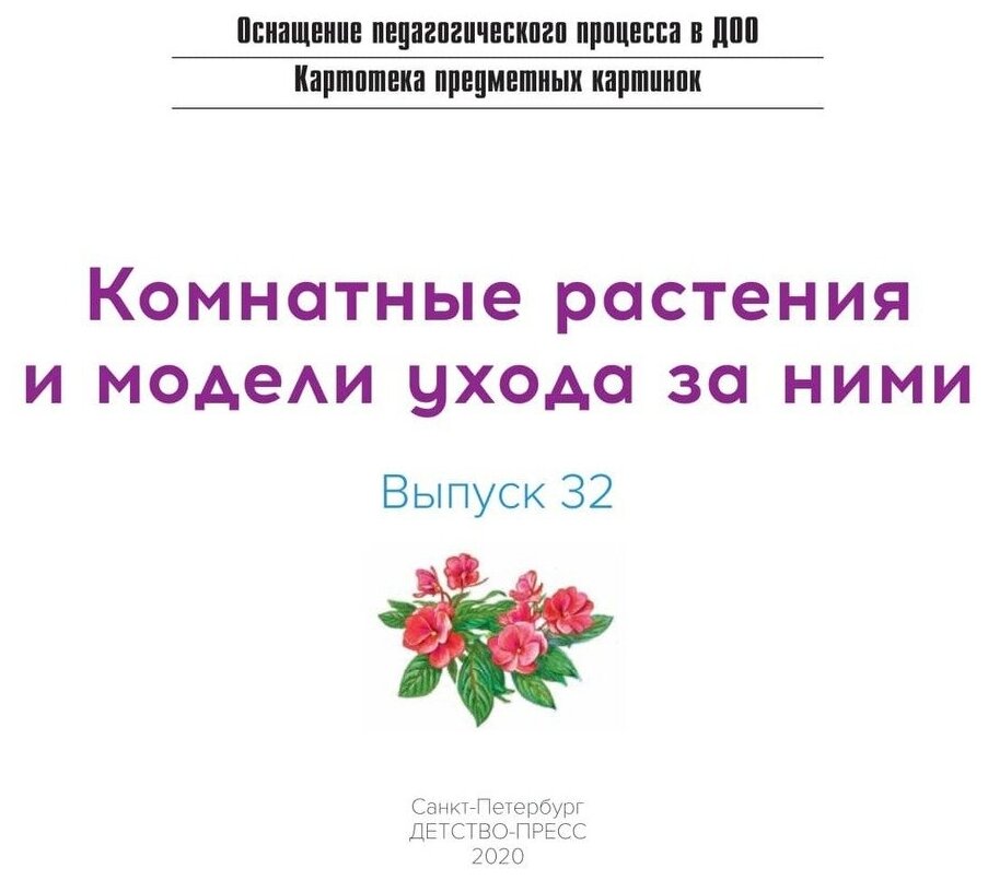 Картотека предметных картинок №32. Комнатные растения и модели ухода за ними. 3-7 лет. - фото №2