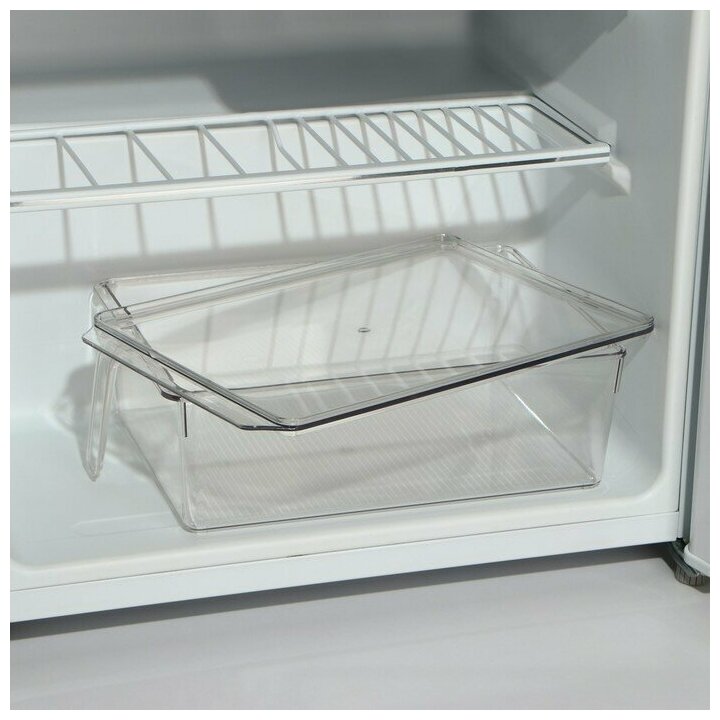Контейнер для холодильника с крышкой и ручкой RICCO, 32×20,5×10 см, цвет прозрачный - фотография № 9