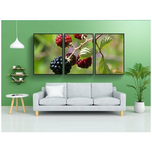 фото Набор модулных постеров для интерьера "мора, ежевика, плоды леса" 60x90 см. в тубусе, без рамки lotsprints