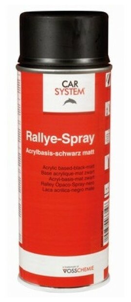 Краска Carsystem Rallye Spray Matt