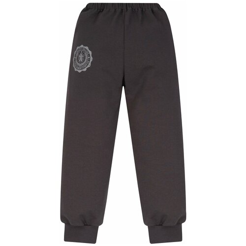 фото Спортивные брюки утенок размер 104, серый-колледж