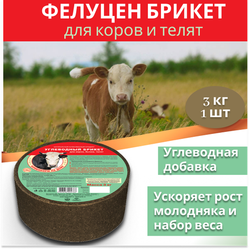 Фелуцен брикет для коров, быков, телят 3кг фелуцен брикет для коров быков телят 3кг