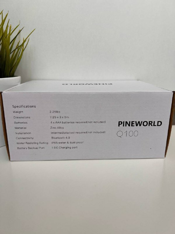 Электронный замок Pineworld q100