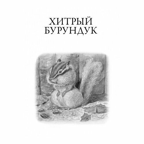 Рассказы о природе (Снегирев Геннадий Яковлевич) - фото №11