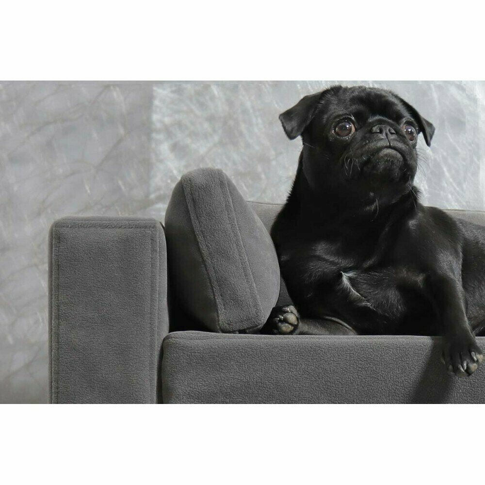 диван лежанка FUNTIKSTORE "Белла", M, 78х42х52 см., серый, велюр, для маленьких и средних пород собак - фотография № 5