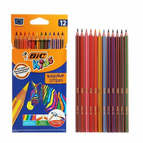 Карандаши цветные 12 цветов , BIC Kids Evolution Stripes, пластиковые, детские