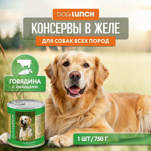 Корм для собак Dog Lunch говядина, с овощами 1 уп. х 1 шт. х 750 г