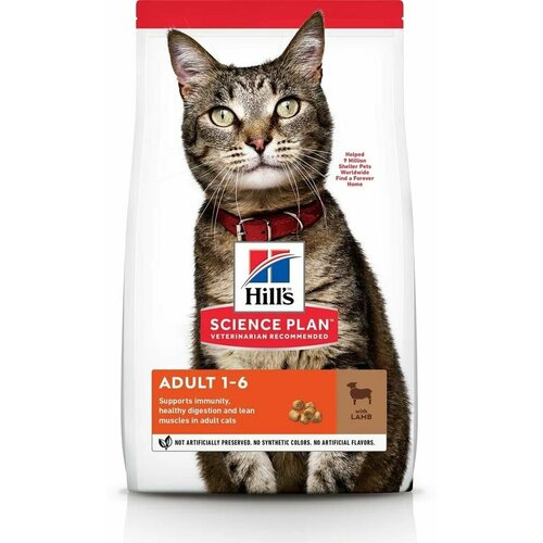 Hills Feline Light Сухой корм для кошек для взрослых с ягненком и рисом 10кг
