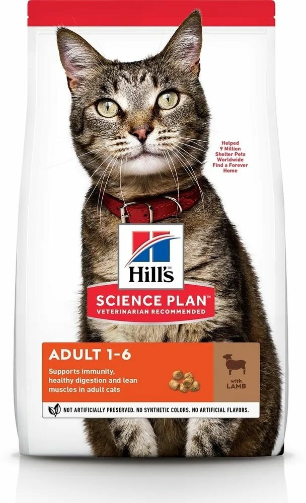 Hills Feline Light Сухой корм для кошек для взрослых с ягненком и рисом 10кг
