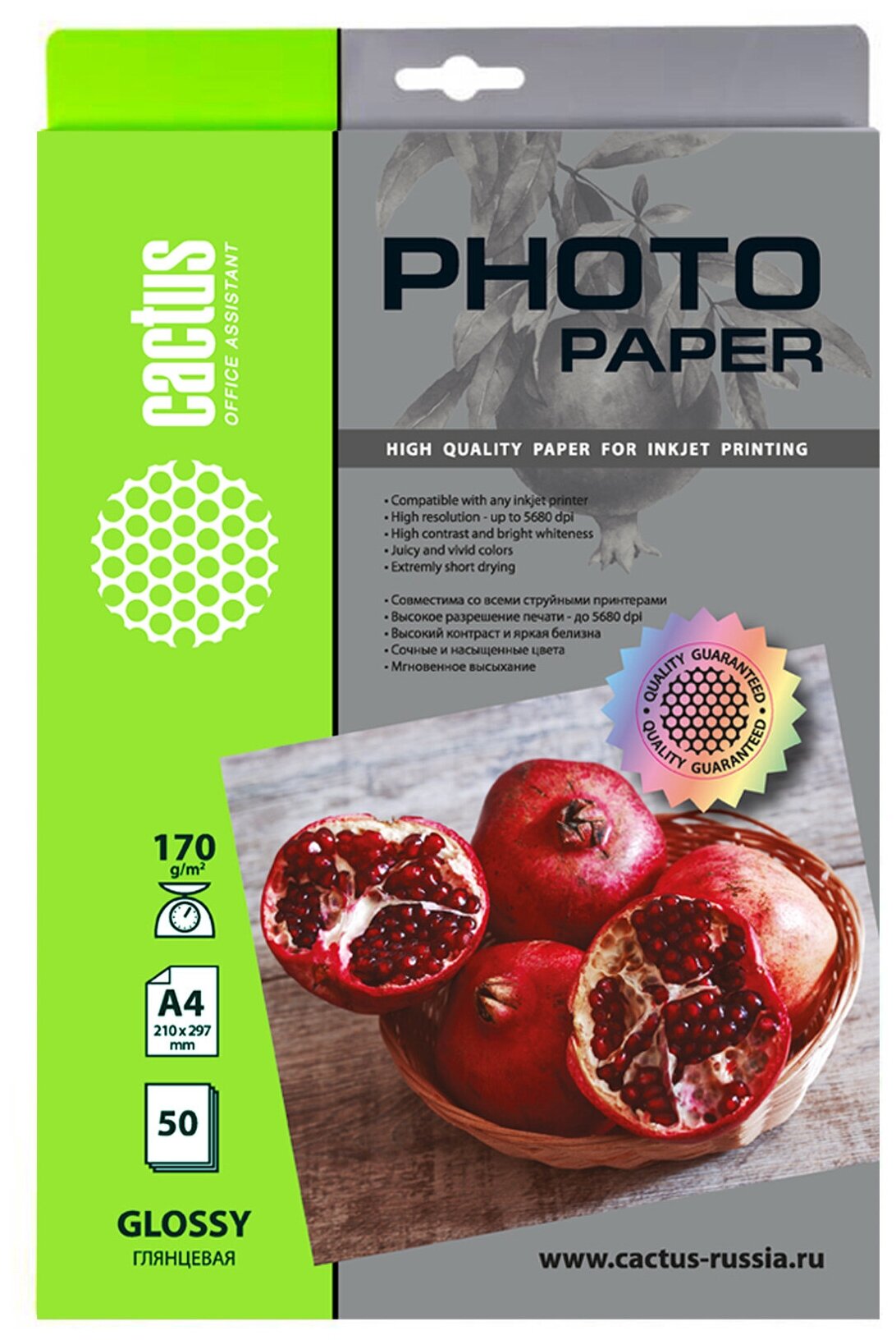 Фотобумага Cactus CS-GA417050 A4 для струйной печати 50л 170г/м2 белый покрытие глянцевое