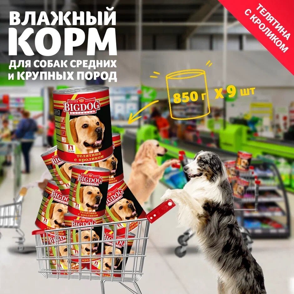 Влажный корм для собак Зоогурман Big Dog, телятина, кролик 9 шт. х 850 г (для крупных пород)