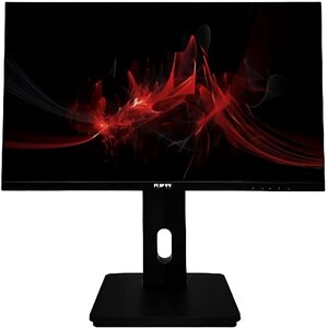 Монитор RDW Computers 23.8" RDW2423K черный IPS 5ms 16:9 HDMI матовая HAS Piv 250cd 178гр/178гр 1920x1080 75Hz DP FHD (R