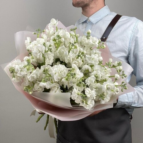 Букет цветов "Кустовая маттиола 9 штук", белый, цветочный магазин Wow Flora