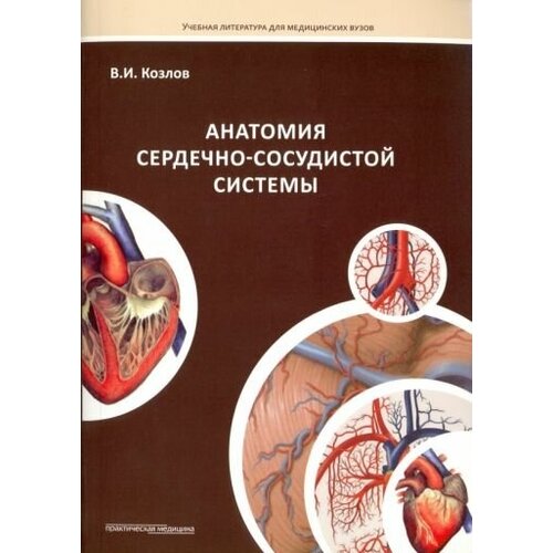 Валентин козлов: анатомия сердечно-сосудистой системы. учебное пособие для студентов медицинских вузов