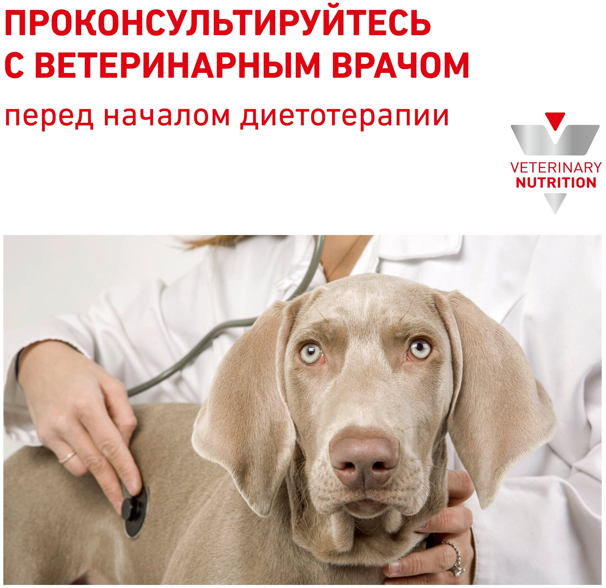 Корм для щенков ROYAL CANIN - фото №7