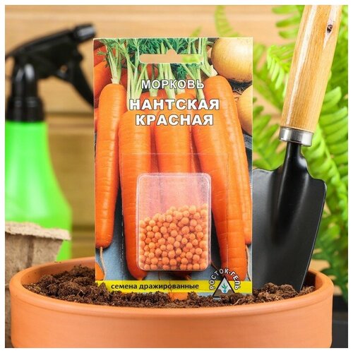 Семена Морковь 