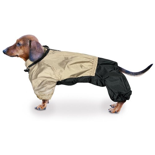 Дождевик для таксы бежевый