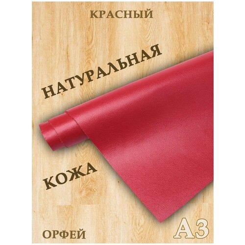 Кожа натуральная/Формат А3/Кожа Орфей 1,2-1,4мм цв. красный натуральная кожа орфей красный кожа для рукоделия а3