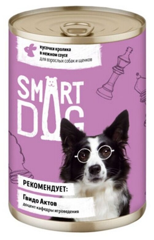 Smart Dog             2216 43729 0,24  43729 (10 )