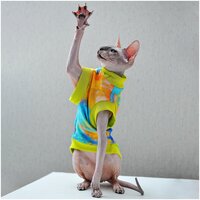 Одежда для кошек, котов и маленьких собачек - стильная майка с рисунком Фестиваль красок, подходит для сфинксов