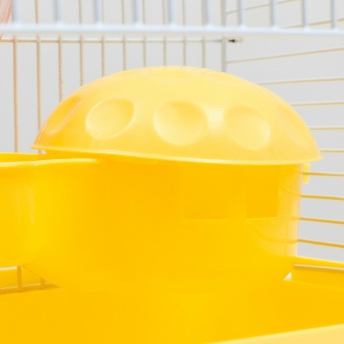 Клетка для грызунов "Пижон", 23 х 17 х 26 см, эмаль, жёлтая - фотография № 7