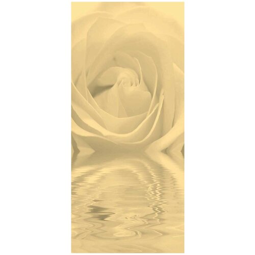 Самоклеящиеся фотообои Нежная роза в отражении размер 90x200 см эффект черно-белый 1928₽