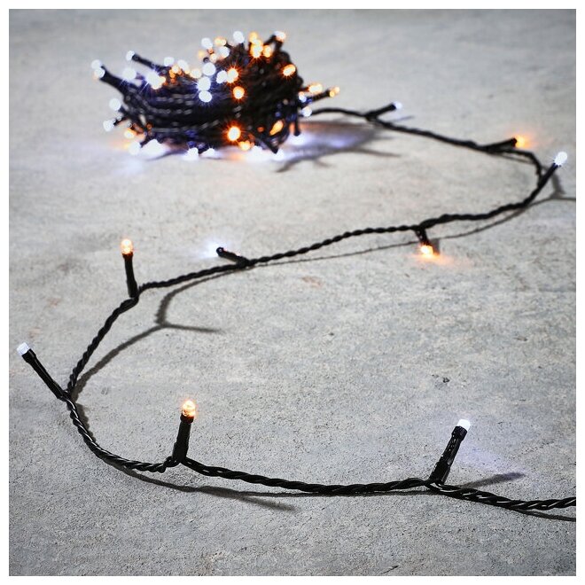 фото Edelman Светодиодная гирлянда Luca 9 м, 90 холодных и теплых белых LED ламп со 100% мерцанием, зеленый ПВХ, IP44 1106547