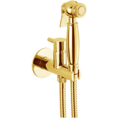 Гигиенический душ Webert Elio EL870302010 золотого цвета webert elio el870302010 гигиенический душ комплект со смесителем золото