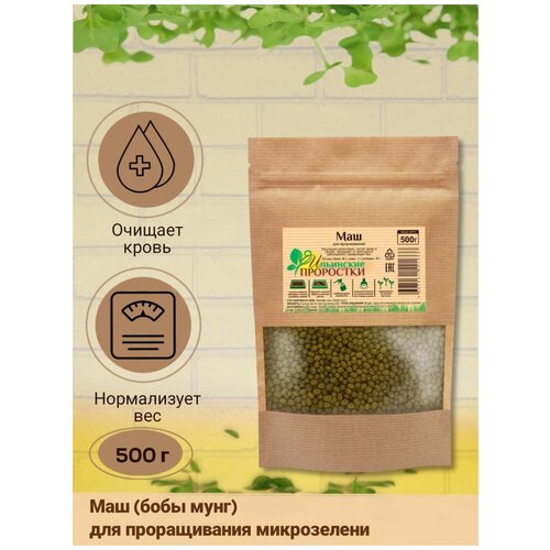 Микрозелень маш (бобы мунг) для проращивания и полезных блюд