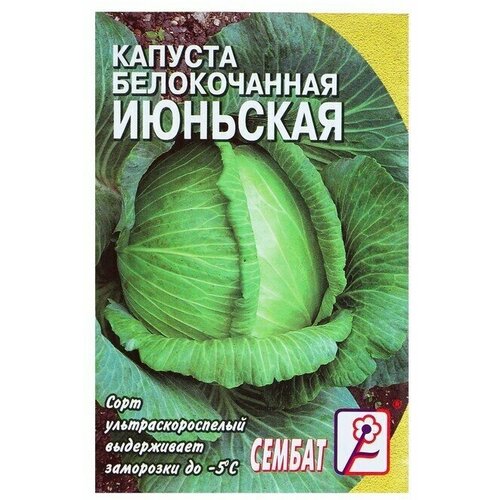 Семена Капуста Сембат, белокачанная, Июньская, 1 г 14 упаковок семена укропгрибовский 500 г сембат 4662867