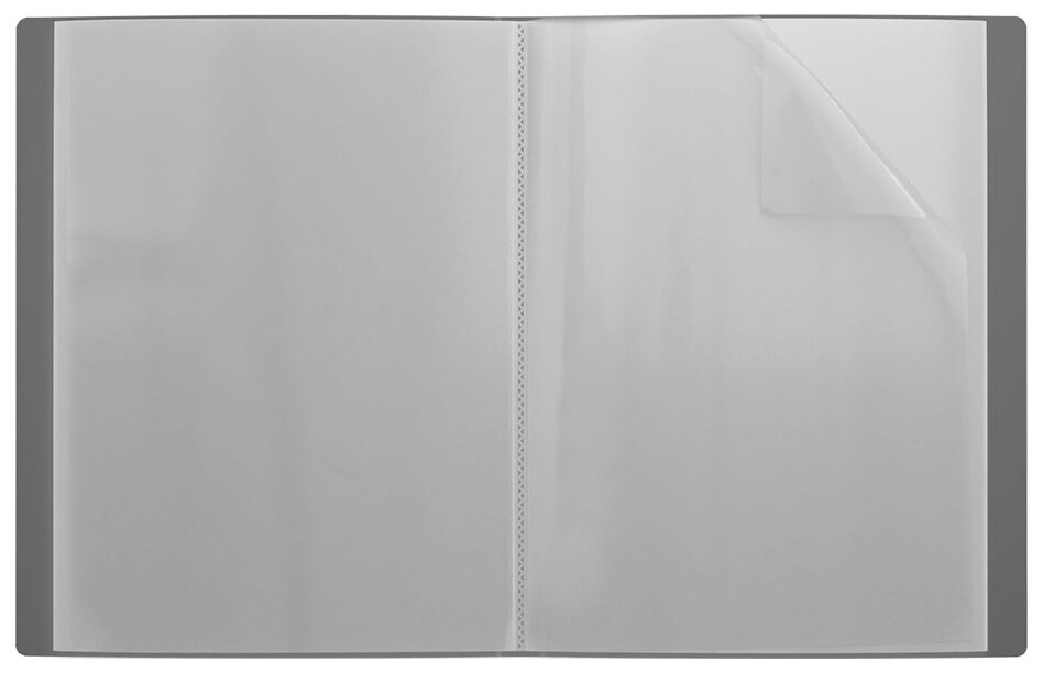 Папка файловая пластиковая с карманом на корешке ErichKrause Diamond Original, c 20 карманами, A4, серый
