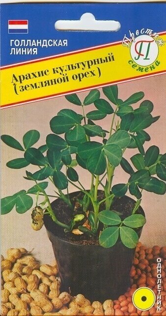 Арахис культурный (земляной орех). Растения с ветвистыми побегами высотой 30 см. Чаще используется для контейнерного выращивания.