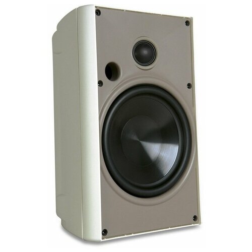 Всепогодная акустика Proficient AW650 White 4824000₽