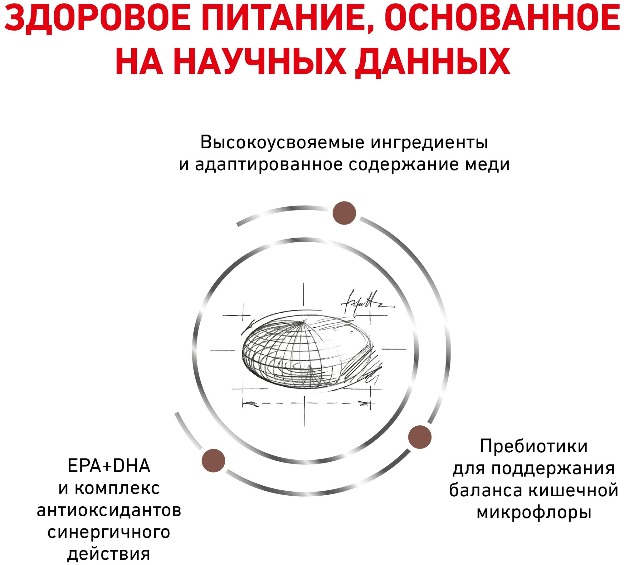 Сухой корм для кошек Royal Canin Hepatic HF26 при заболеваниях печени 2 кг - фотография № 3