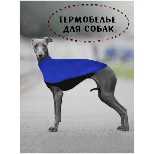 Флисовый жилет для собак, цвет бордо-черный, размер M1