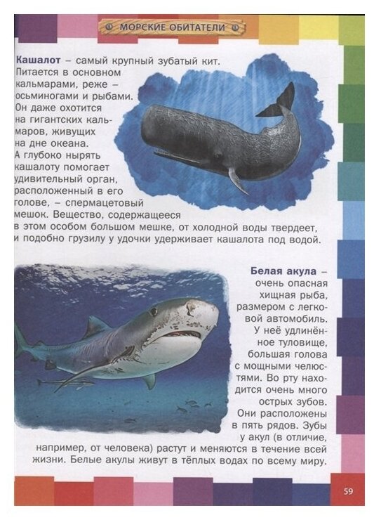 Животный мир для малышей. Детская энциклопедия - фото №3