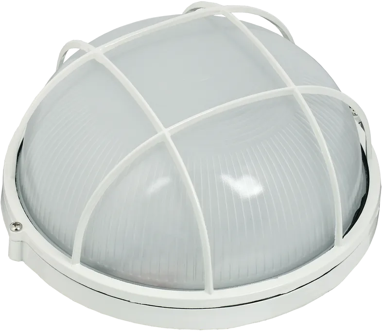 Светильник IEK (LNPP0-1102-1-100-K01)