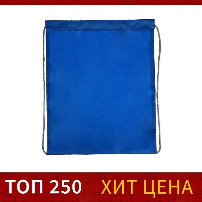 Calligrata Мешок для обуви 420 х 340 мм, Calligrata "Стандарт", (мягкий полиэстер, плотность 210 D), синий