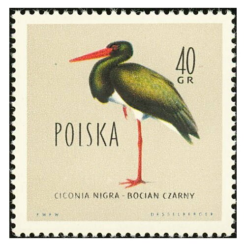 (1960-053) Марка Польша Чёрный аист Охраняемые птицы I Θ