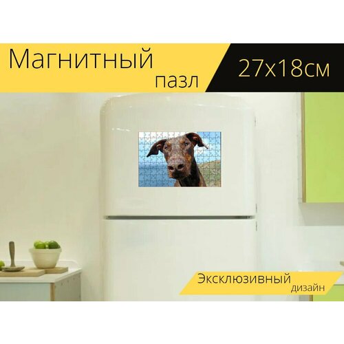 Магнитный пазл Доберман, собака, приморский на холодильник 27 x 18 см. магнитный пазл сингапур ночь приморский на холодильник 27 x 18 см