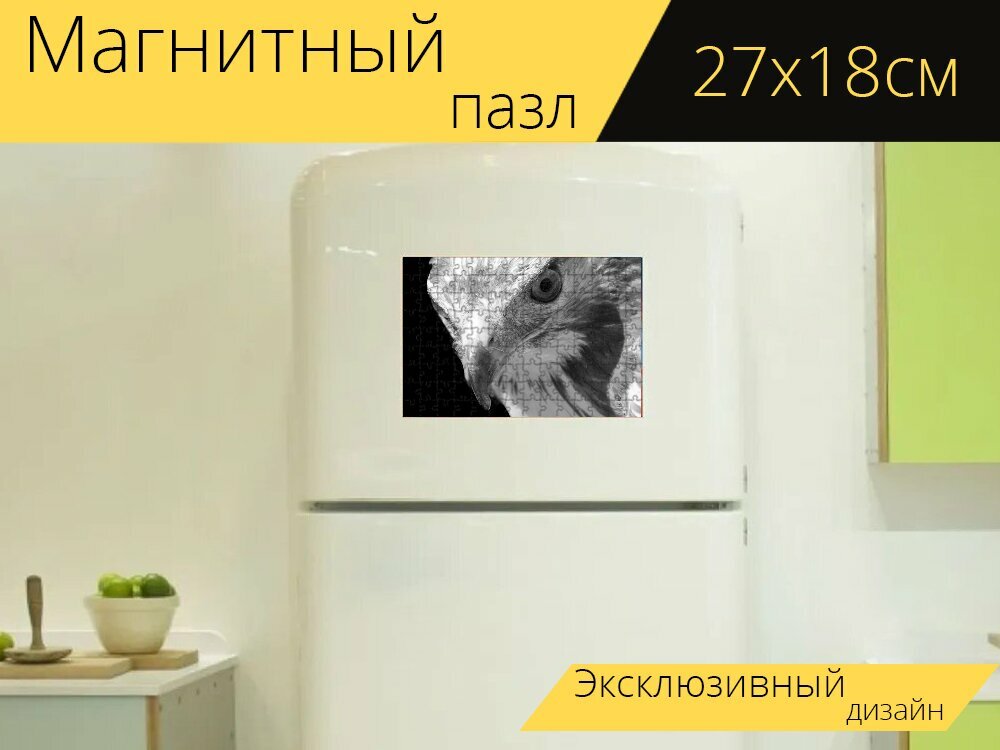 Магнитный пазл "Ящер, сопло, смотреть" на холодильник 27 x 18 см.