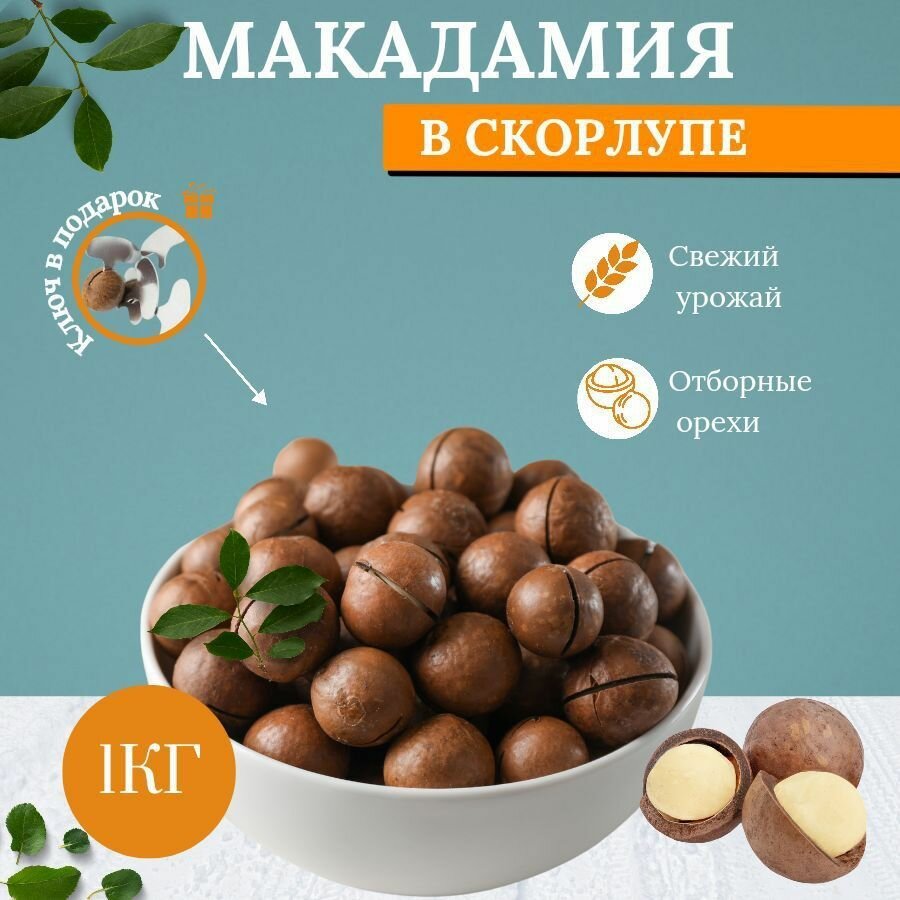 Макадамия в скорлупе, орех макадамия неочищенный