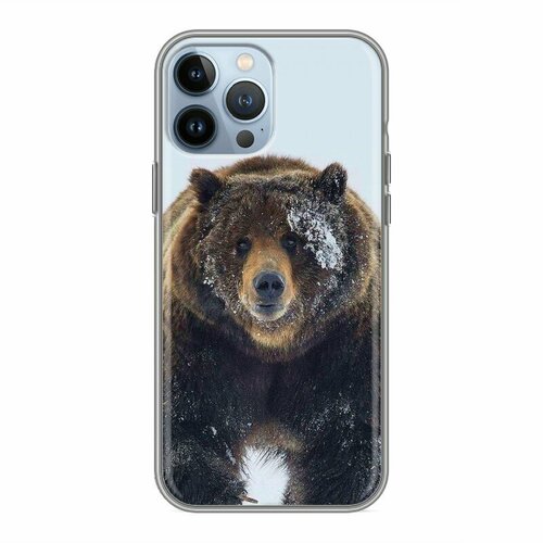 Дизайнерский силиконовый чехол для Iphone 13 Pro Max Медведь дизайнерский силиконовый чехол для iphone 13 pro max кожа змей