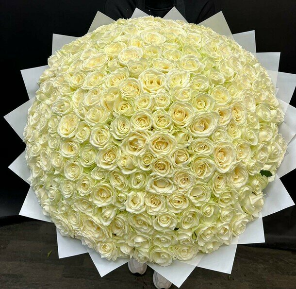 Букет из 201 белой роза Аваланж