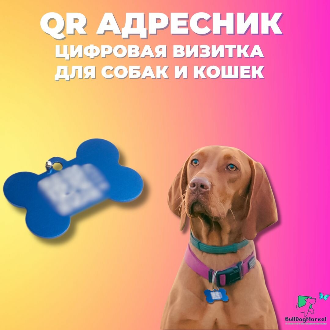 Адресник для собак и кошек с гравировкой QR кода, косточка